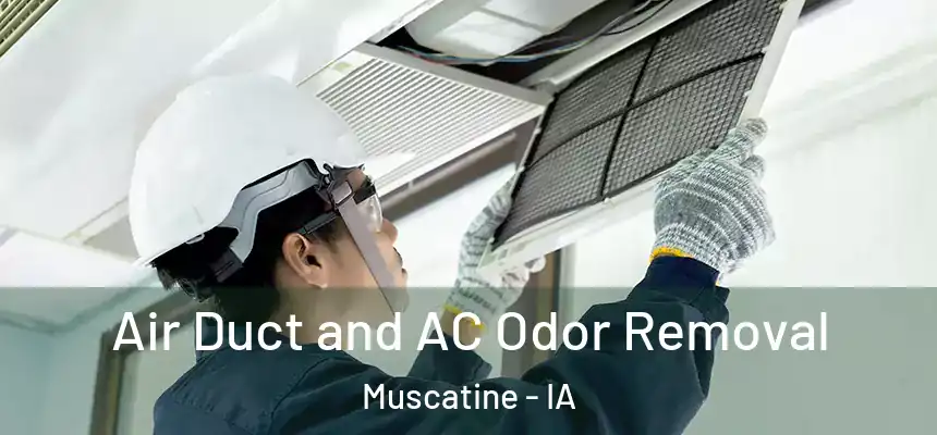 Air Duct and AC Odor Removal Muscatine - IA