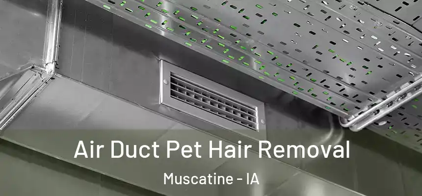  Air Duct Pet Hair Removal Muscatine - IA