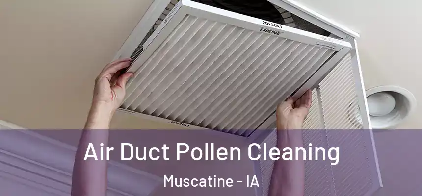 Air Duct Pollen Cleaning Muscatine - IA