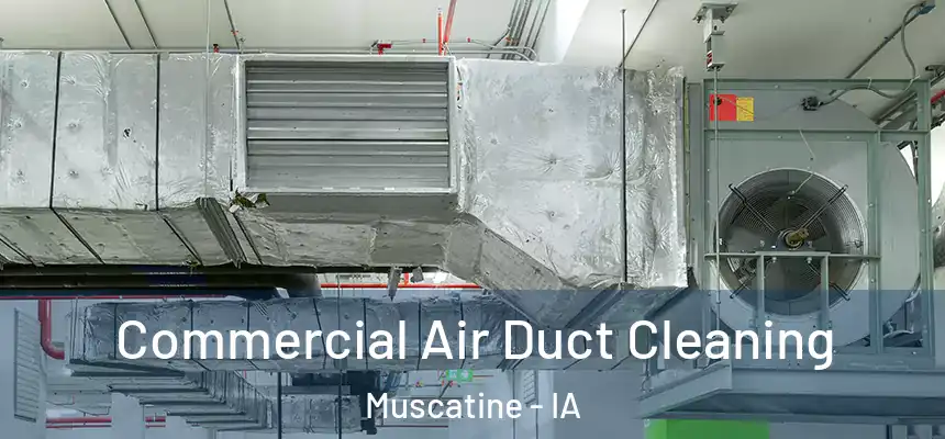 Commercial Air Duct Cleaning Muscatine - IA