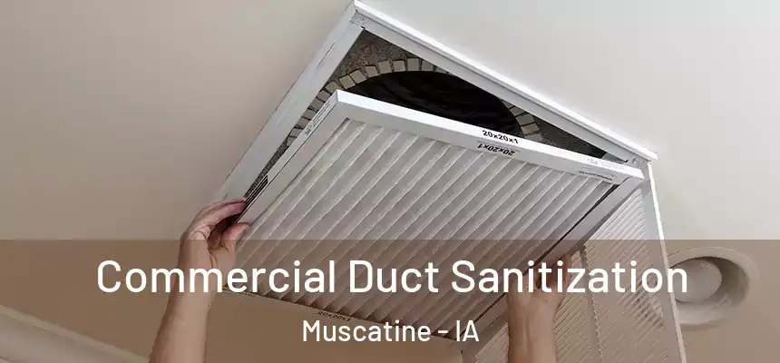 Commercial Duct Sanitization Muscatine - IA