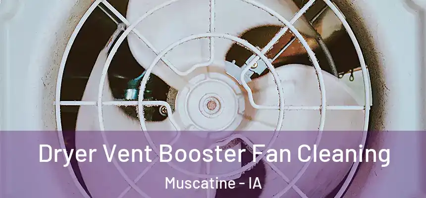 Dryer Vent Booster Fan Cleaning Muscatine - IA