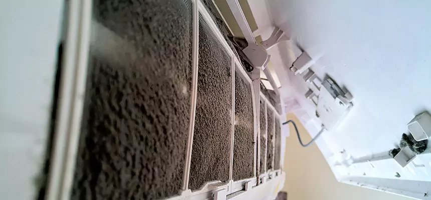 Preventive Air Duct Bacteria Removal in Muscatine