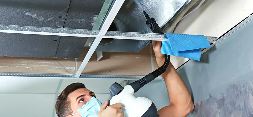 Our Air Duct Rodent Removal Services in Muscatine, IA
