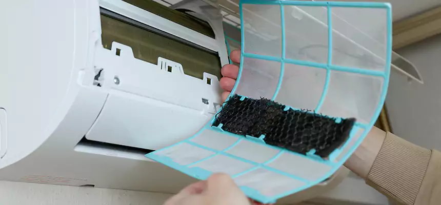 Gentle Ductwork Odor-Control Pet Dander Duct Cleaning in Muscatine, IA