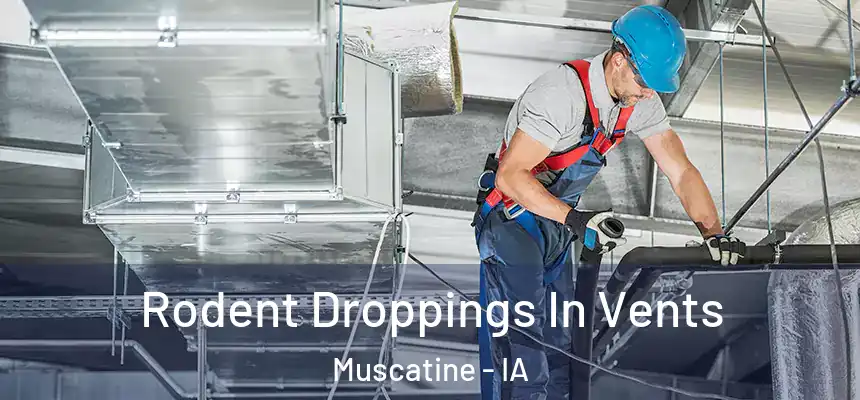  Rodent Droppings In Vents Muscatine - IA