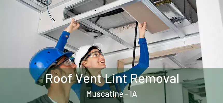 Roof Vent Lint Removal Muscatine - IA