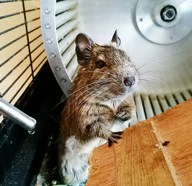 Why Homeowners & Businesses Trust Us Muscatine, IA