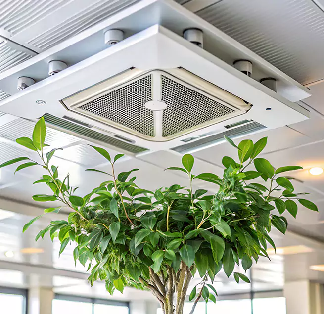 Why Homeowners & Businesses Trust Us in Muscatine, IA?