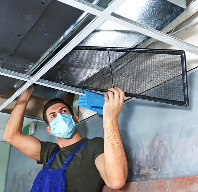 Why Homeowners & Businesses Trust Us in Muscatine, IA?