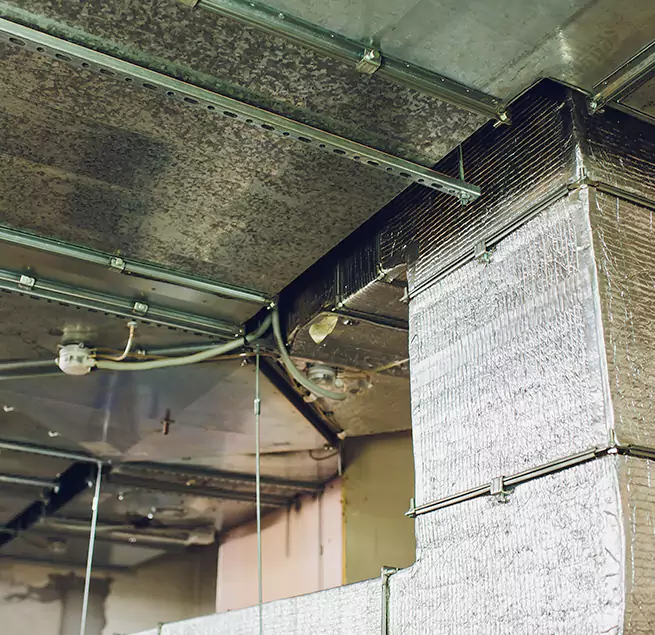 Why Homeowners & Businesses Trust Us in Muscatine, IA?