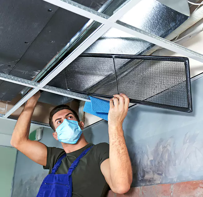 Why Homeowners Businesses Trust Us in Muscatine, IA?