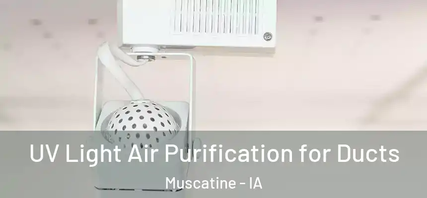  UV Light Air Purification for Ducts Muscatine - IA